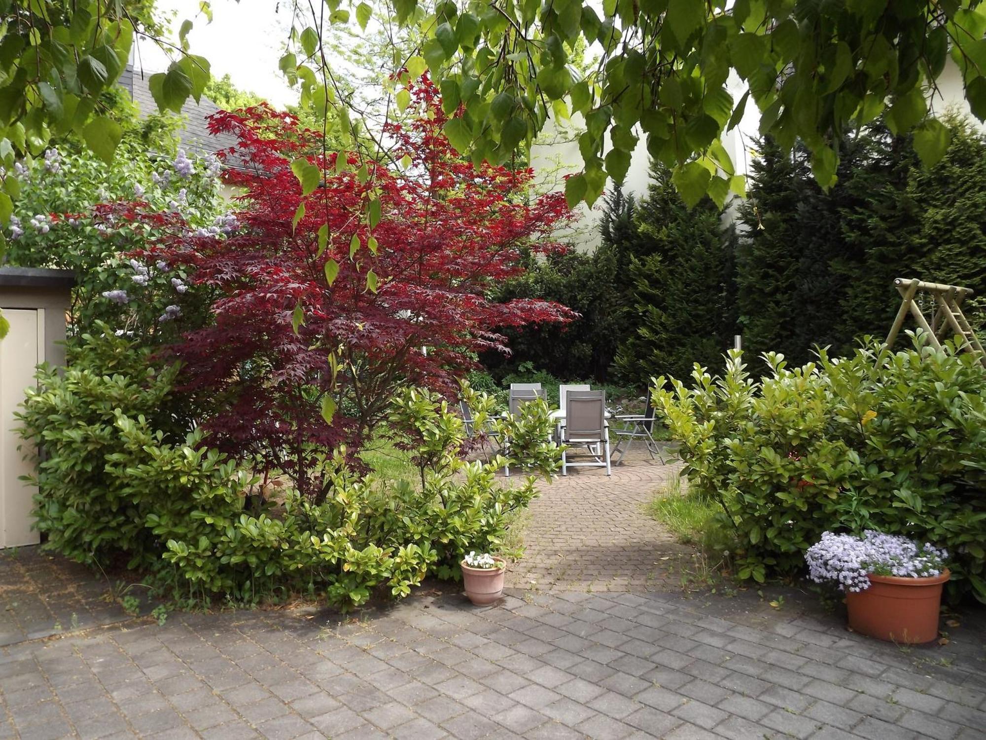 Apartments Und Zimmer Gaestehaus Matthias Dresden Ngoại thất bức ảnh