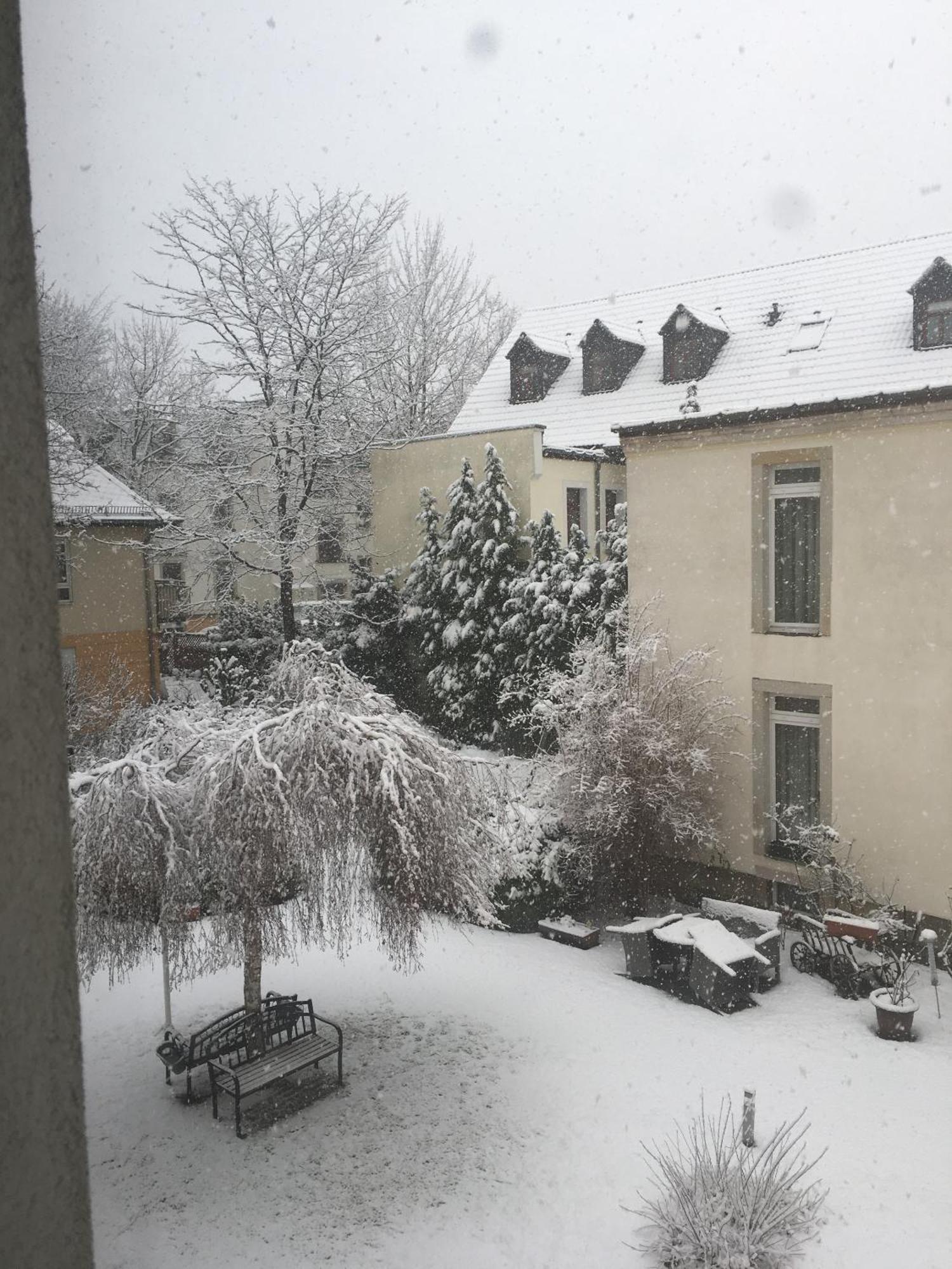 Apartments Und Zimmer Gaestehaus Matthias Dresden Ngoại thất bức ảnh