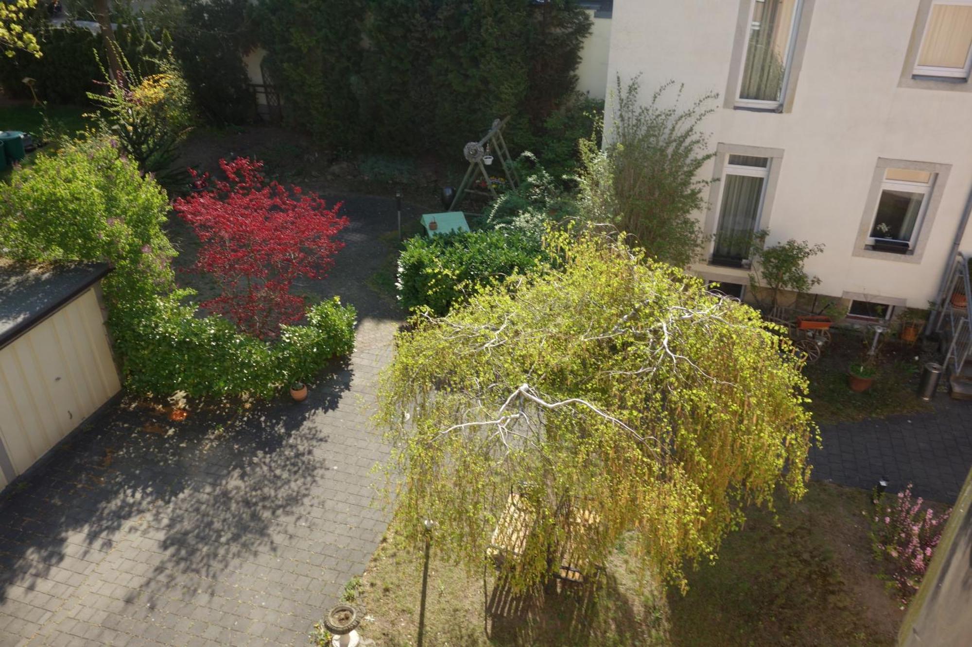 Apartments Und Zimmer Gaestehaus Matthias Dresden Phòng bức ảnh