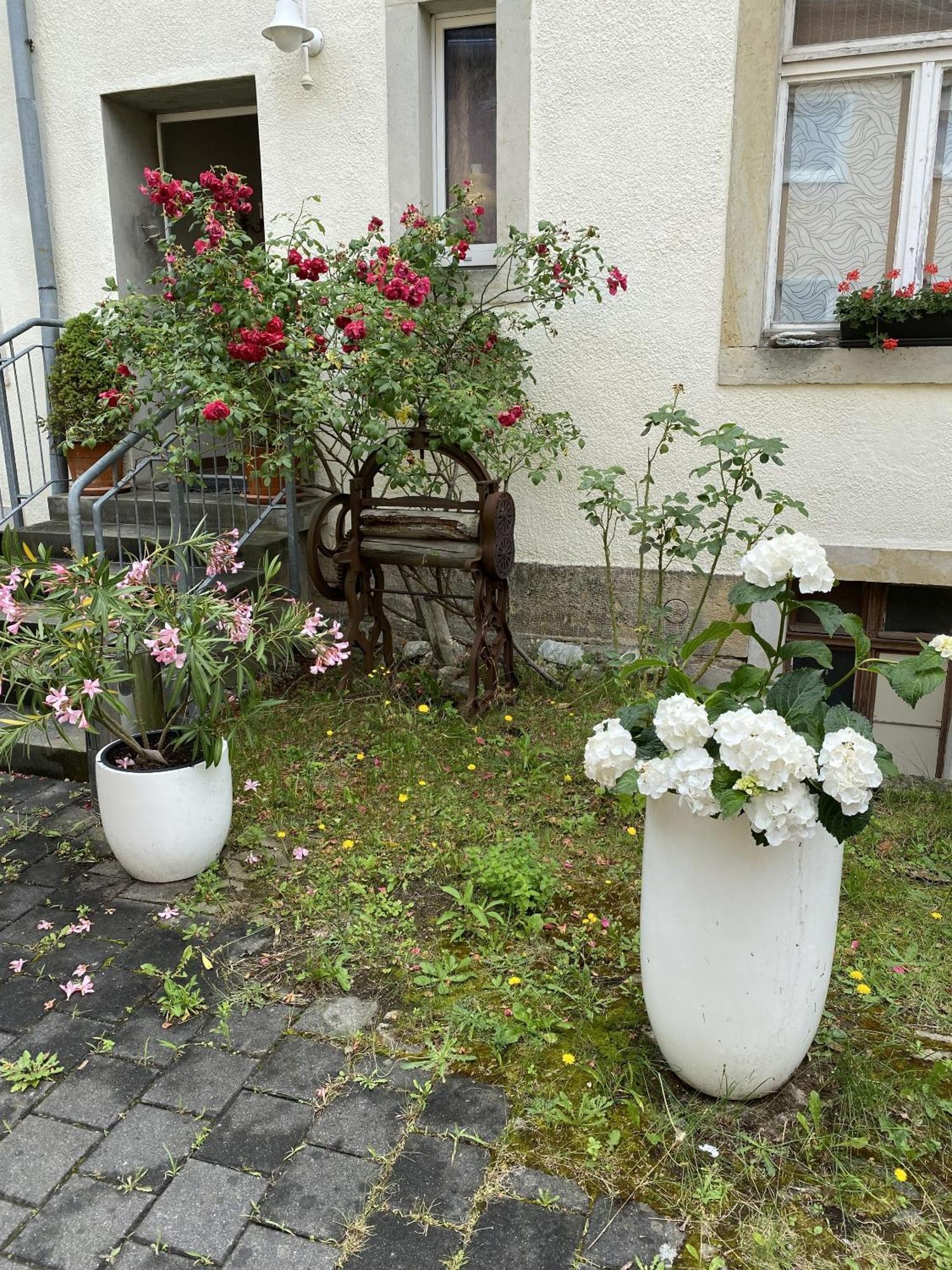 Apartments Und Zimmer Gaestehaus Matthias Dresden Ngoại thất bức ảnh