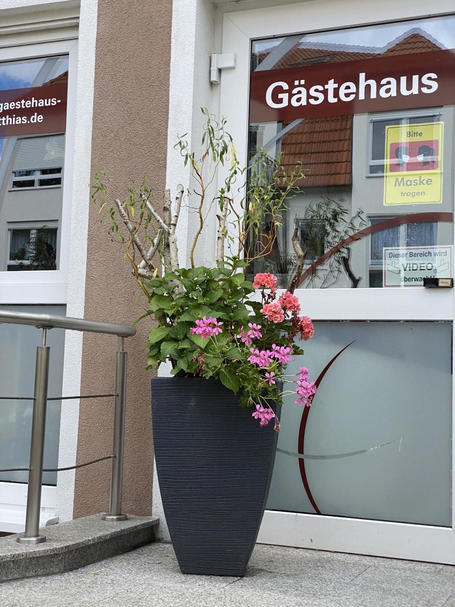 Apartments Und Zimmer Gaestehaus Matthias Dresden Ngoại thất bức ảnh
